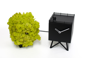 modern cuckoo clocks